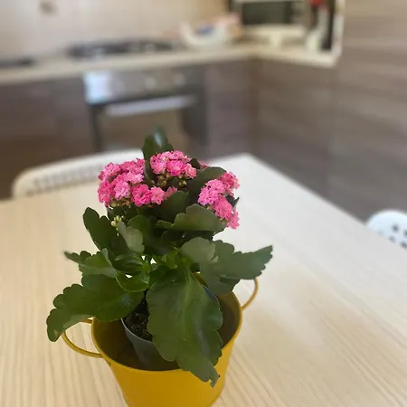 Apartment Bobo - Private